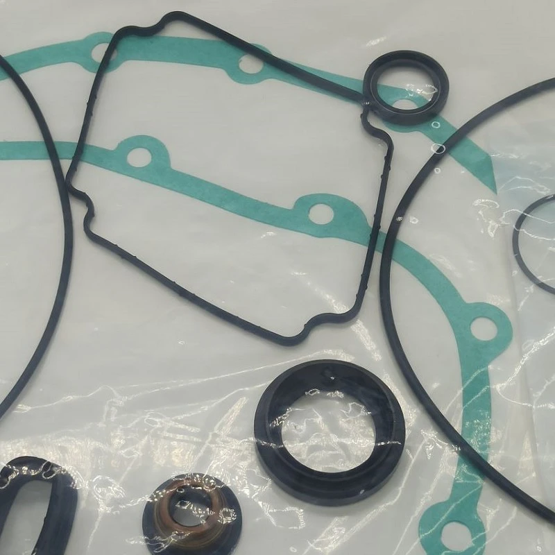 Overhaul Kit For Audi 4001 Overhaul Kit For Audi 4001