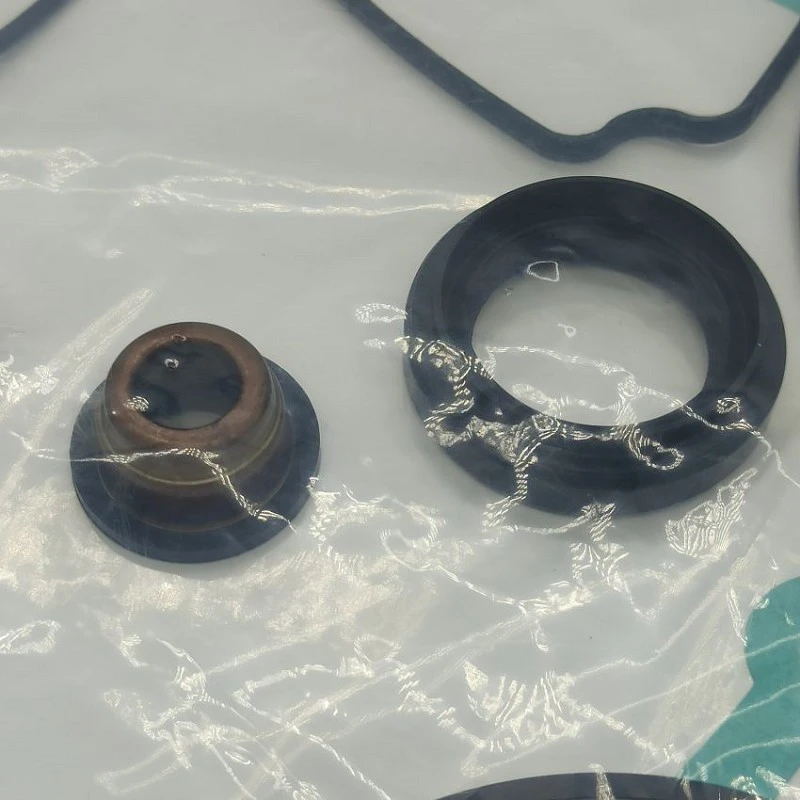 Overhaul Kit For Audi 5001 Overhaul Kit For Audi 5001